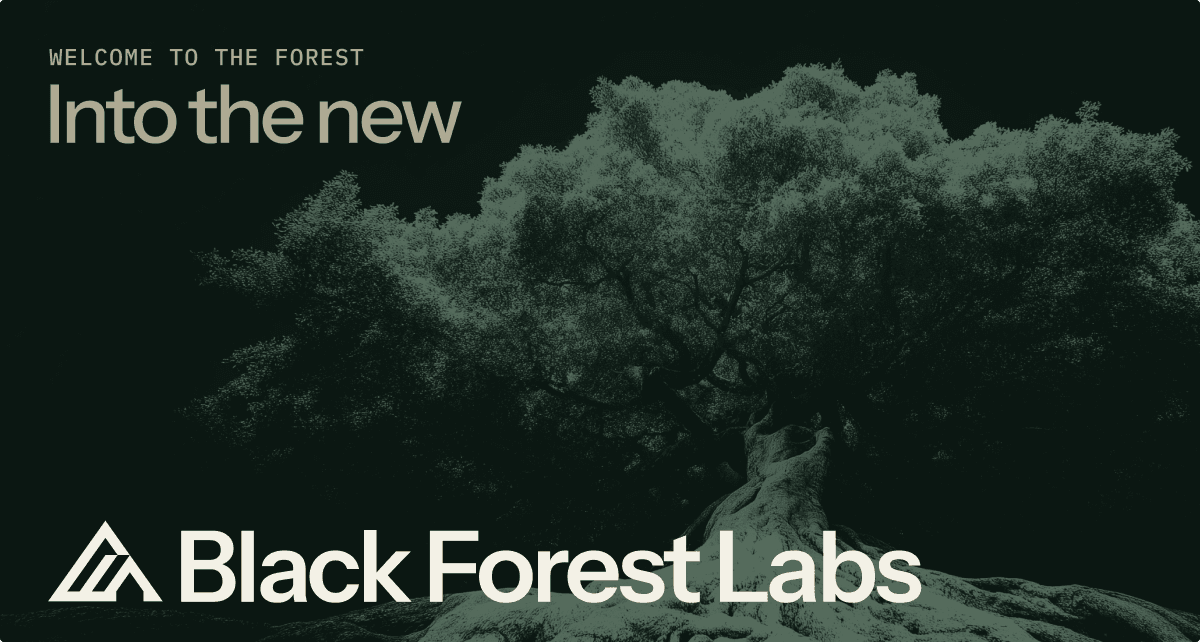Black Forest Labs image